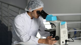 CNSX:OPTI