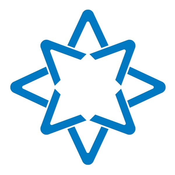 ANELE logo