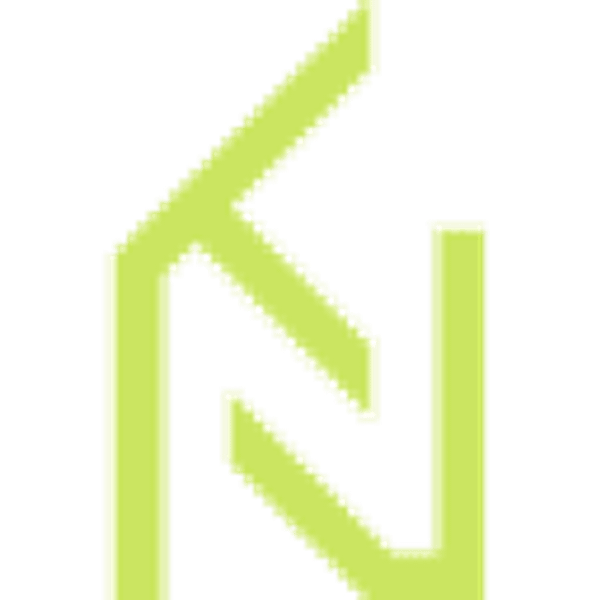 KNE1L logo