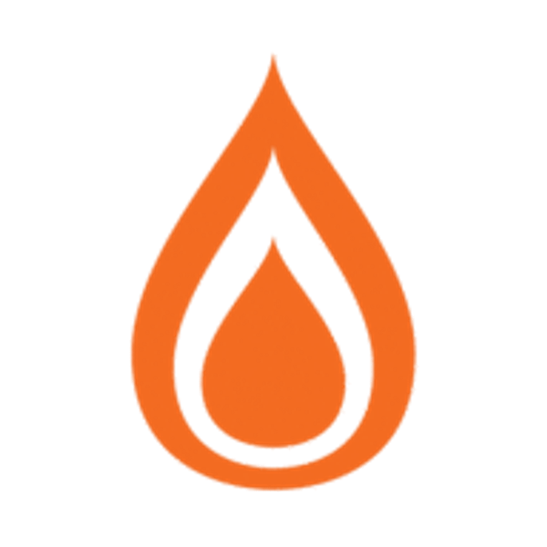 NAE logo