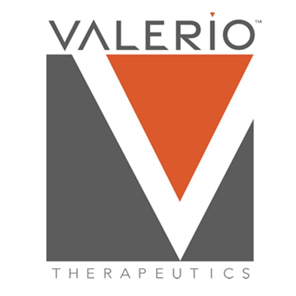 ALVIO logo