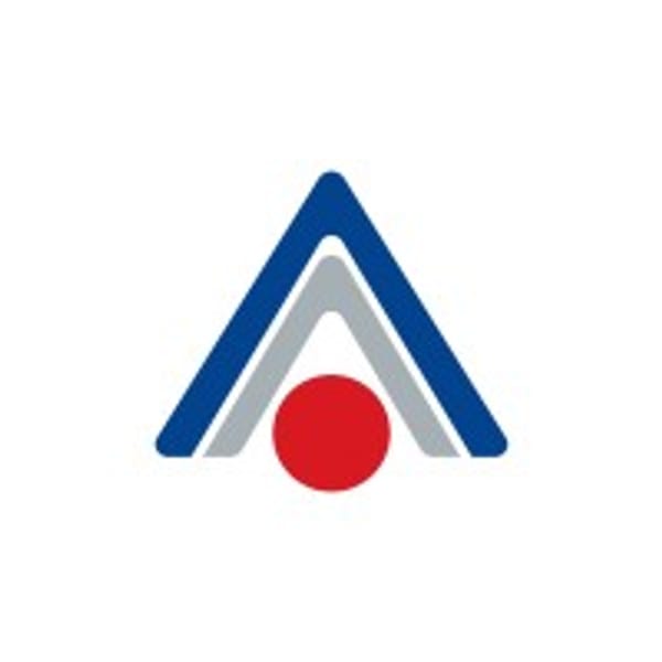 AINS logo