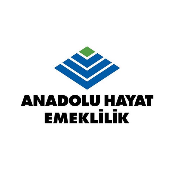ANHYT logo