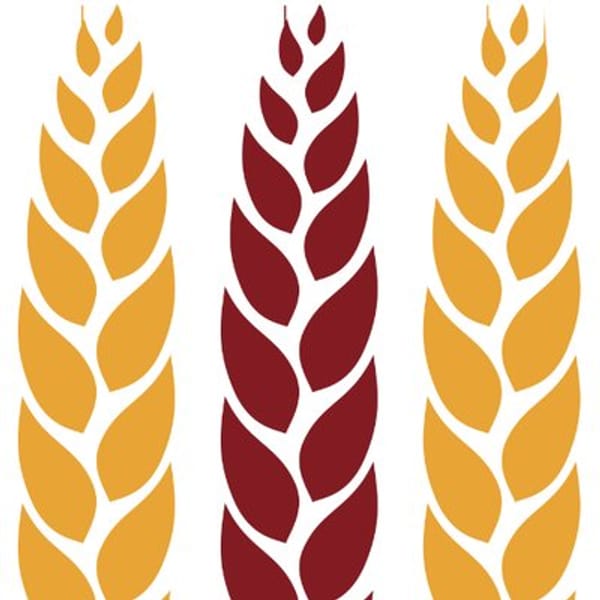 BFM logo