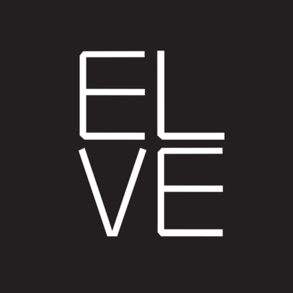 ELBE logo