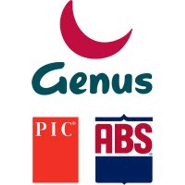GNS logo