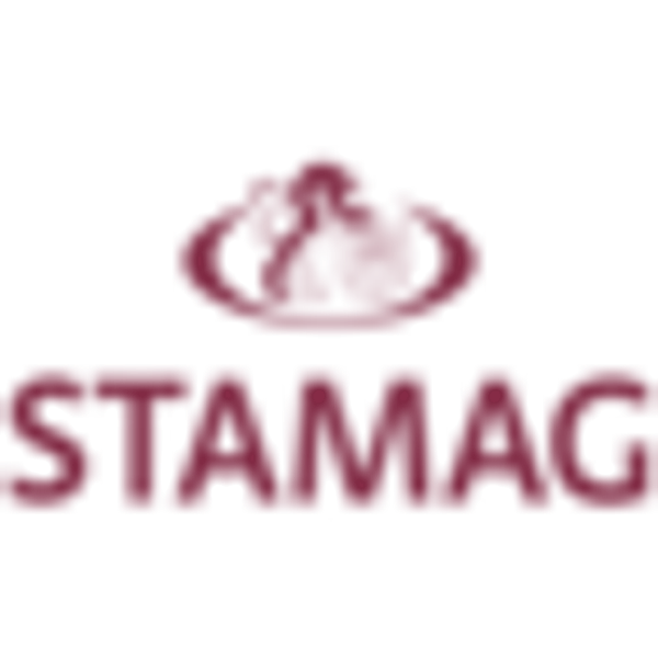 STM logo