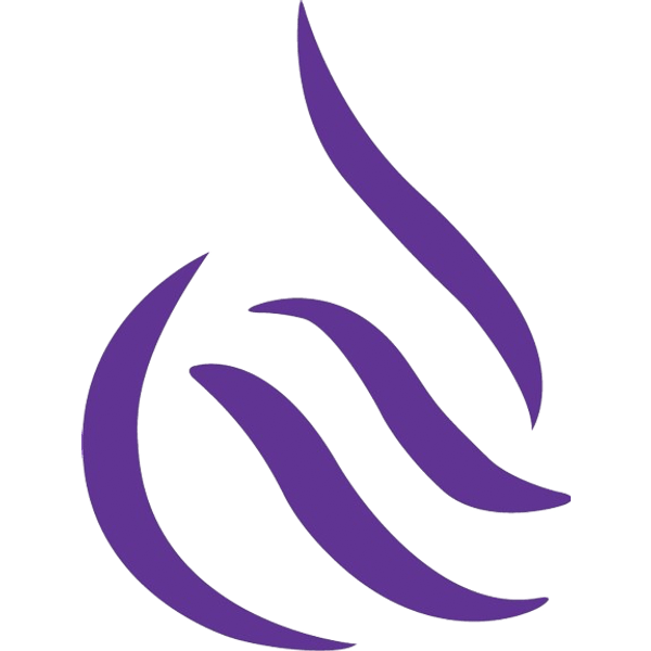 NAPESCO logo