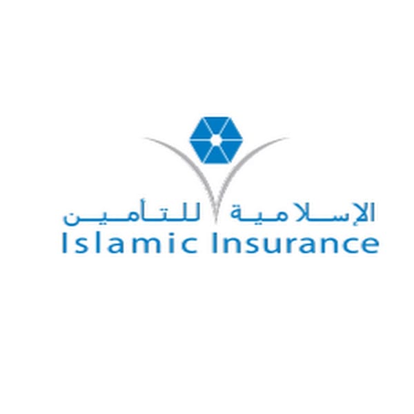 QISI logo