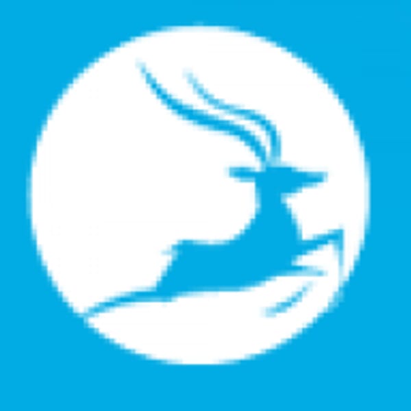 550 logo