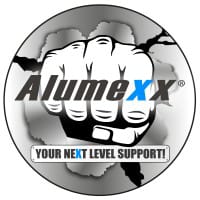 ALX logo