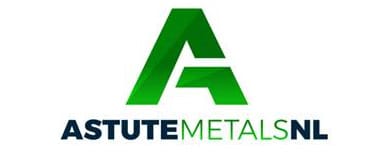 ASE logo
