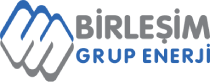 BIGEN logo