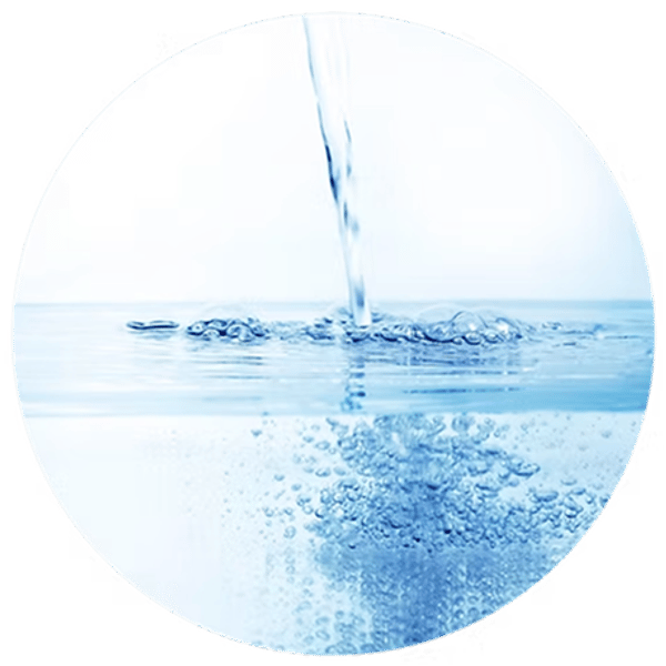 BLWV-M logo