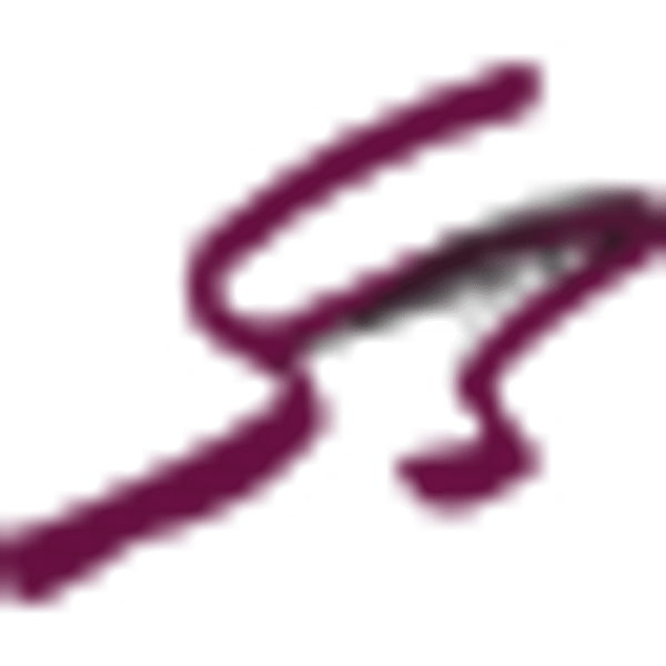 PYW logo