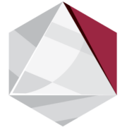 BDM logo