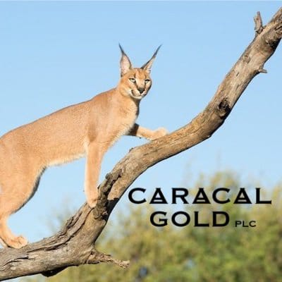 GCAT logo