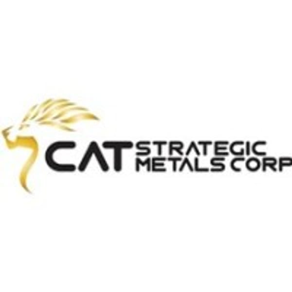 CAT logo