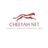 CTNT logo