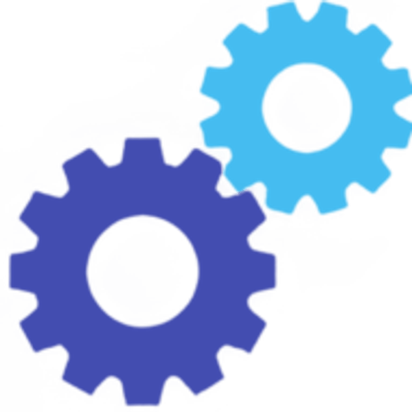 CIN logo