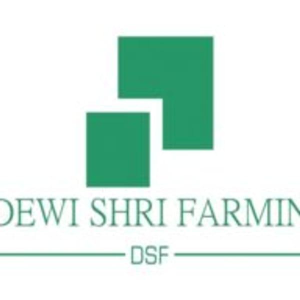 DEWI logo
