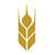 FNF logo
