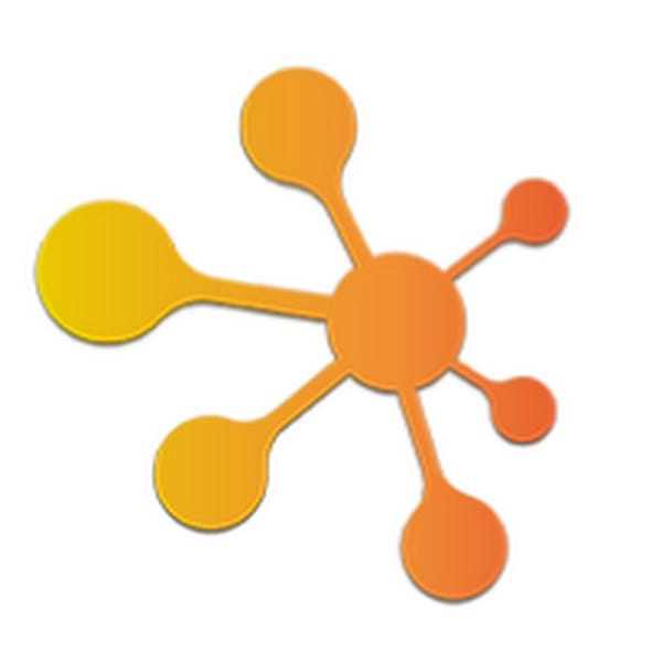FRM logo