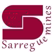 FSDV logo