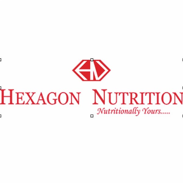 HEXAGON logo