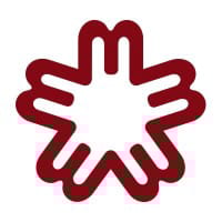 IGMS logo