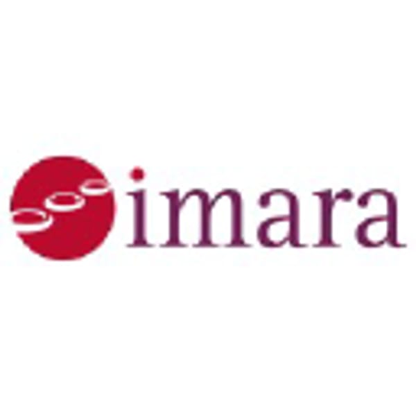 IMRA logo