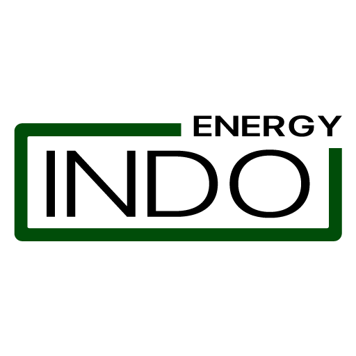 INDO logo