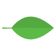 LST logo