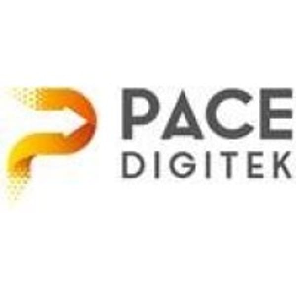 PACEDIGITK logo