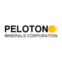 PMCC.F logo