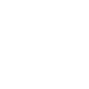 POLI logo