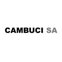 CAMB3 logo