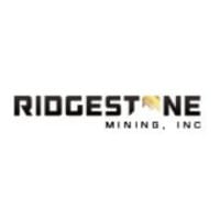 RMI logo
