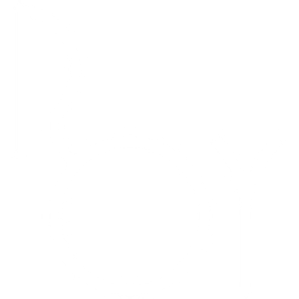 RY8 logo