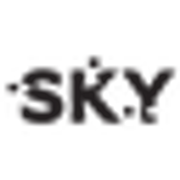SKYI logo