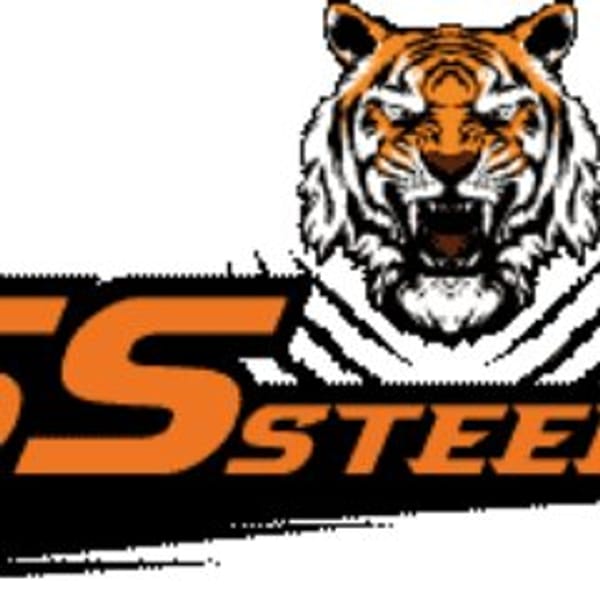 SSSTEEL logo