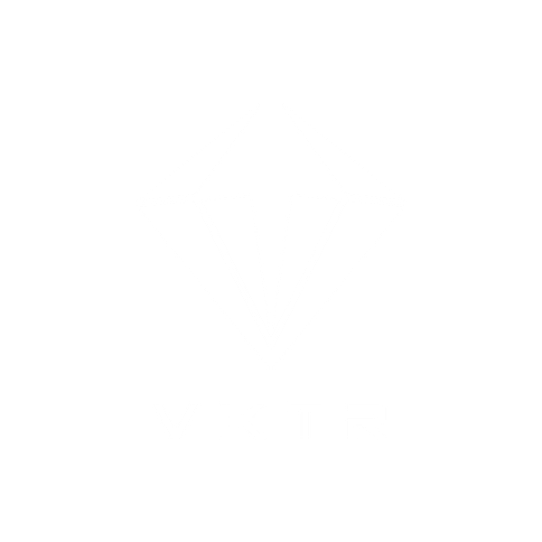 VKTR logo
