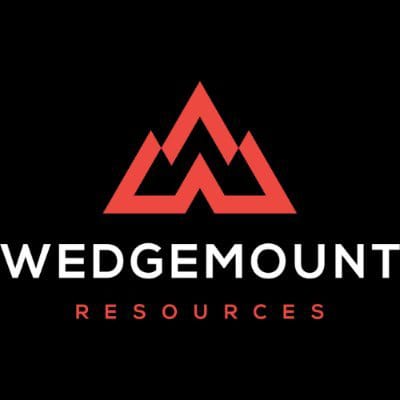 WDGY logo