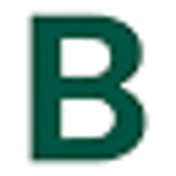 BESLR logo