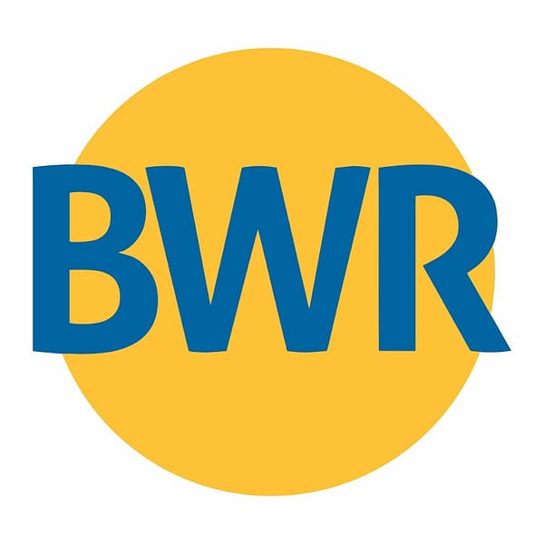 BHARATWIRE logo