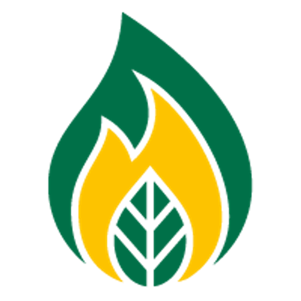 1IO logo