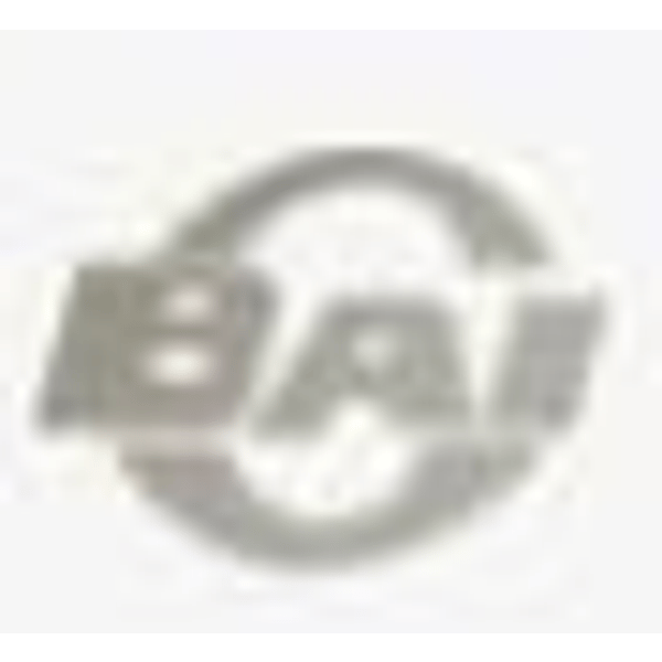 605599 logo