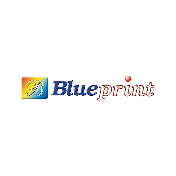 BLUE logo