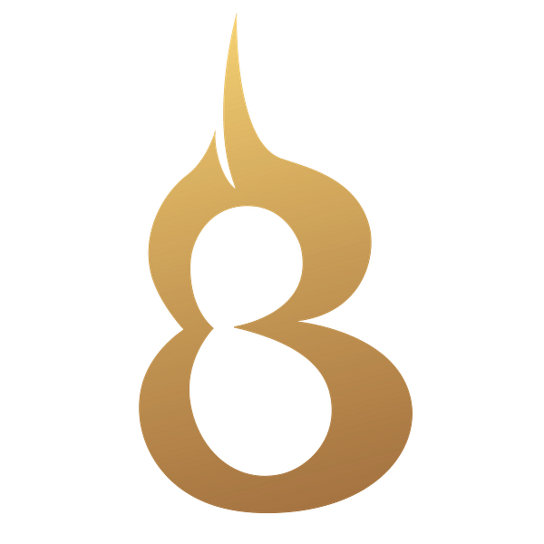 5VI logo