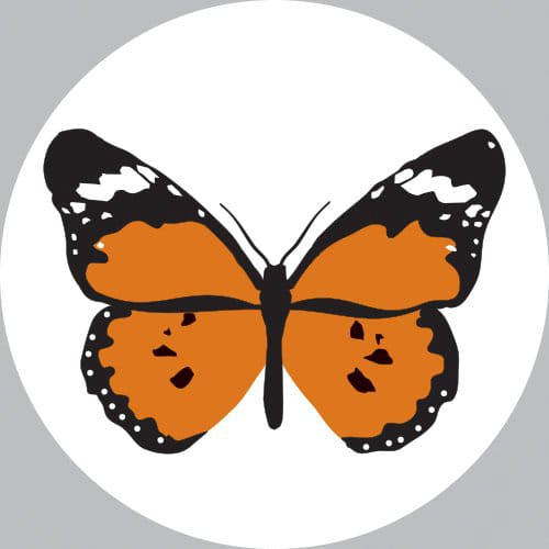 BRT logo